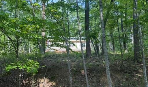 Photo #3 of 19 Cedar Bluff Lane, Hardy, VA 0.5 acres