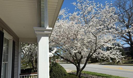 Photo #4 of 805 Longwood Avenue, Bedford, VA 1.1 acres