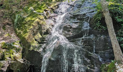 Photo #89 of 700 Cloudcroft Drive, Monroe, VA 53.5 acres