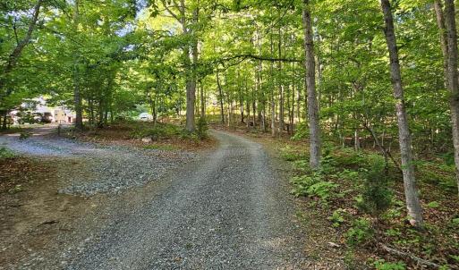 Photo #93 of 700 Cloudcroft Drive, Monroe, VA 53.5 acres
