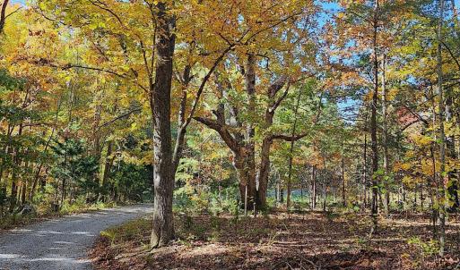 Photo #91 of 700 Cloudcroft Drive, Monroe, VA 53.5 acres