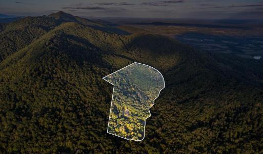 Photo #7 of 700 Cloudcroft Drive, Monroe, VA 53.5 acres