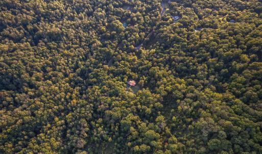 Photo #89 of 700 Cloudcroft Drive, Monroe, VA 53.5 acres