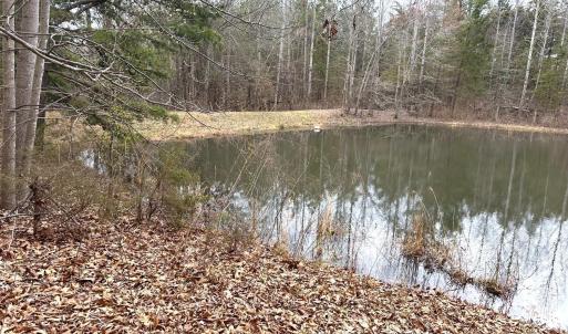 Photo #60 of 7941 Sugar Hill Road, Brookneal, VA 48.6 acres
