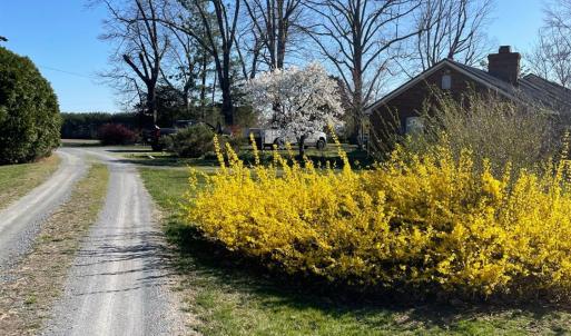Photo #86 of 7941 Sugar Hill Road, Brookneal, VA 48.6 acres