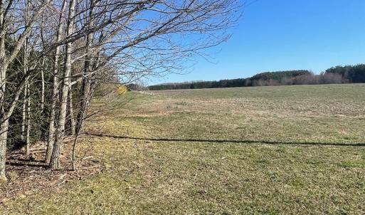 Photo #96 of 7941 Sugar Hill Road, Brookneal, VA 48.6 acres