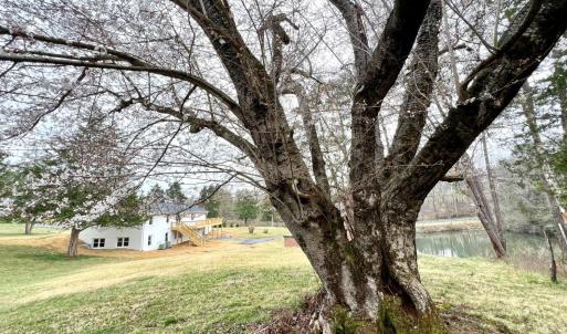 Photo #7 of 100 Northwest Lane, Charlottesville, VA 2.0 acres