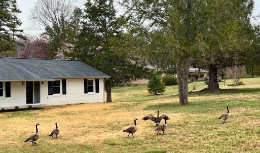 Photo #71 of 100 Northwest Lane, Charlottesville, VA 2.0 acres