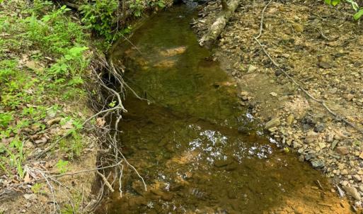 Photo #66 of 1746 Wheeler Road, Lynchburg, VA 13.5 acres