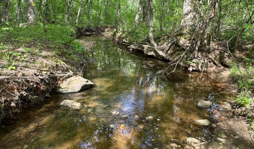 Photo #65 of 1746 Wheeler Road, Lynchburg, VA 13.5 acres
