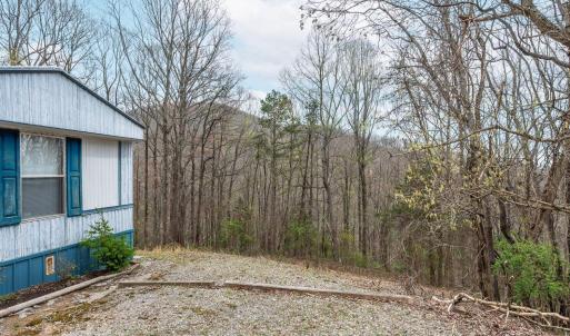 Photo #40 of 4404 Murray Hollow Road, Thaxton, VA 51.0 acres