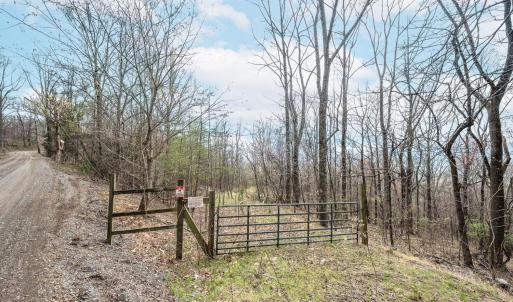 Photo #90 of 4404 Murray Hollow Road, Thaxton, VA 51.0 acres