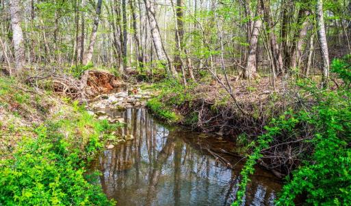 Photo #6 of 239 Little Farm Road, Amherst, VA 5.5 acres