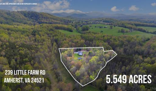 Photo #58 of 239 Little Farm Road, Amherst, VA 5.5 acres