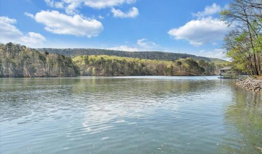 Photo #50 of 806 Cedar Key Lane, Huddleston, VA 1.7 acres