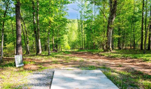 Photo #70 of 1132 Bancroft, Goode, VA 40.1 acres