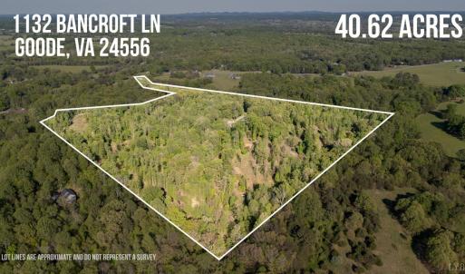 Photo #5 of 1132 Bancroft, Goode, VA 40.1 acres