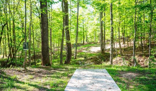 Photo #69 of 1132 Bancroft, Goode, VA 40.1 acres