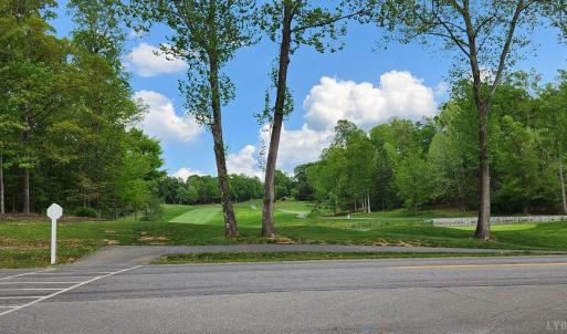 Photo #9 of 1057 Barrow Hills Drive, Moneta, VA 0.3 acres