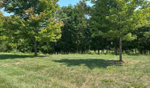 Photo #42 of 1057 Barrow Hills Drive, Moneta, VA 0.3 acres
