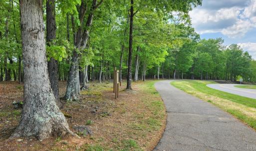 Photo #58 of 1057 Barrow Hills Drive, Moneta, VA 0.3 acres