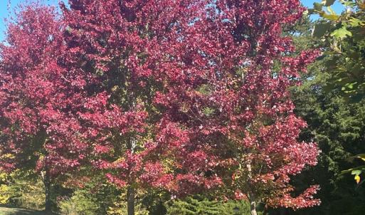 Photo #7 of 1057 Barrow Hills Drive, Moneta, VA 0.3 acres