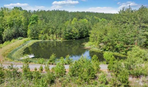 Photo #67 of 20438 Wyatts Way, Evington, VA 158.2 acres