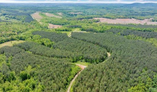 Photo #74 of 20438 Wyatts Way, Evington, VA 158.2 acres