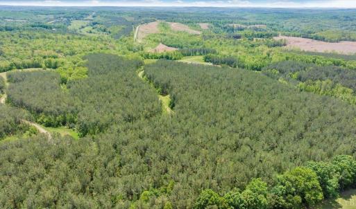 Photo #75 of 20438 Wyatts Way, Evington, VA 158.2 acres