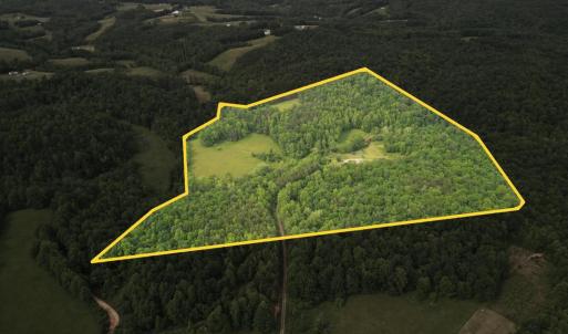 Photo #4 of 640 Jones Mill Road, Cana, VA 50.0 acres