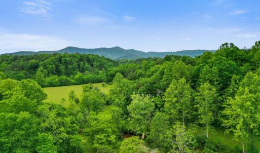 Photo #43 of 640 Jones Mill Road, Cana, VA 50.0 acres