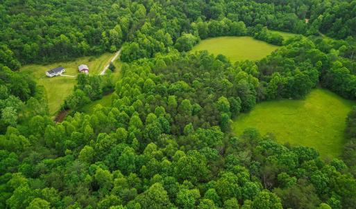 Photo #48 of 640 Jones Mill Road, Cana, VA 50.0 acres