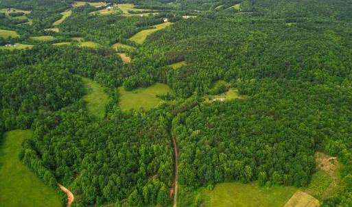 Photo #44 of 640 Jones Mill Road, Cana, VA 50.0 acres