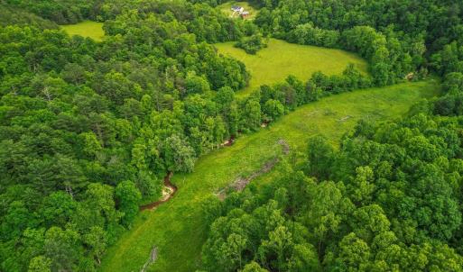 Photo #58 of 640 Jones Mill Road, Cana, VA 50.0 acres