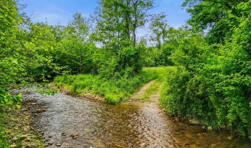 Photo #38 of 640 Jones Mill Road, Cana, VA 50.0 acres