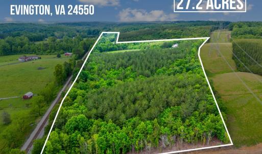 Photo #3 of 491 Pacoman Road, Evington, VA 27.2 acres
