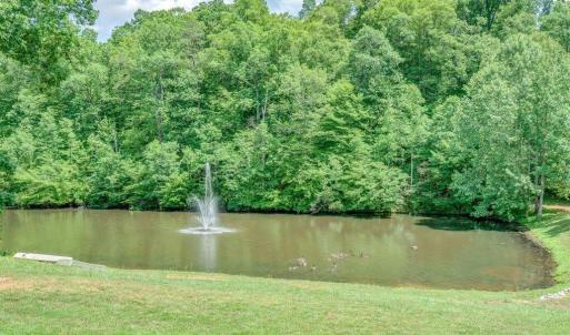 Photo #7 of 450 Holyfield Lane, Moneta, VA 12.0 acres