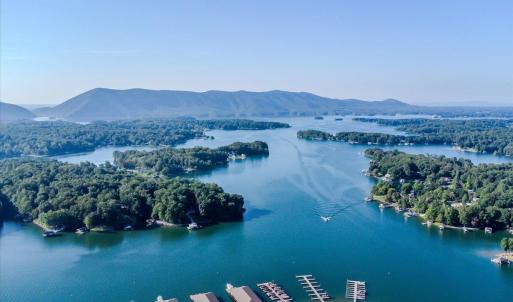 Photo #79 of 1037 Westerham Court, Huddleston, VA 0.4 acres