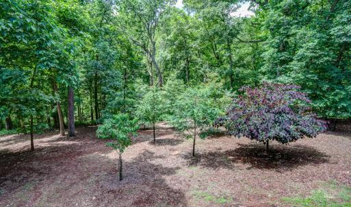 Photo #52 of 1146 Audubon Drive, Lynchburg, VA 2.5 acres