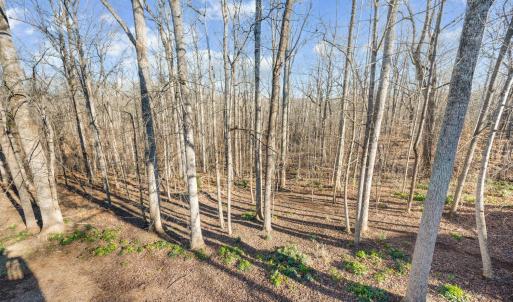 Photo #63 of 302 Molly Stark Trail, Lynchburg, VA 0.1 acres