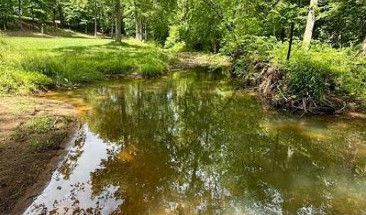 Photo #88 of 1038 Lees Mill Lane, Goode, VA 20.0 acres