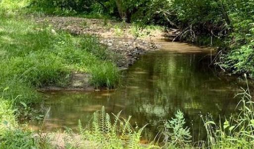 Photo #87 of 1038 Lees Mill Lane, Goode, VA 20.0 acres