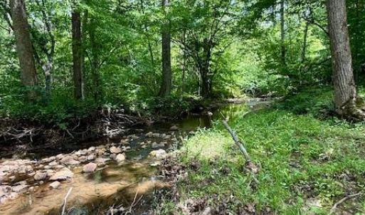 Photo #89 of 1038 Lees Mill Lane, Goode, VA 20.0 acres