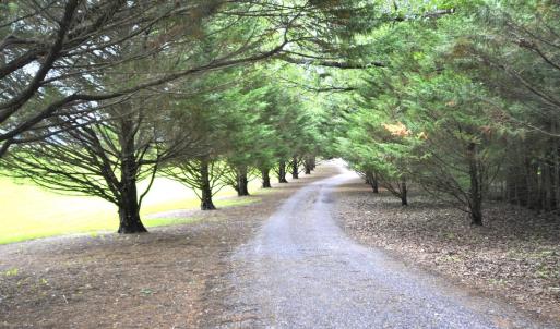 Photo #67 of 202 Springhill Circle, Bedford, VA 8.7 acres