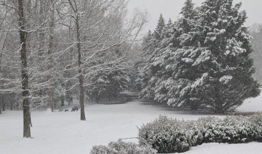 Photo #75 of 202 Springhill Circle, Bedford, VA 8.7 acres