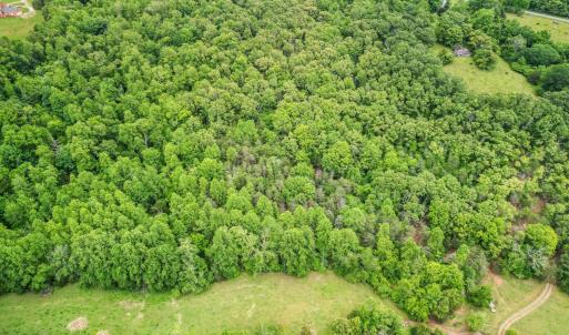 Photo #48 of 687 Gidsville Road, Amherst, VA 4.9 acres