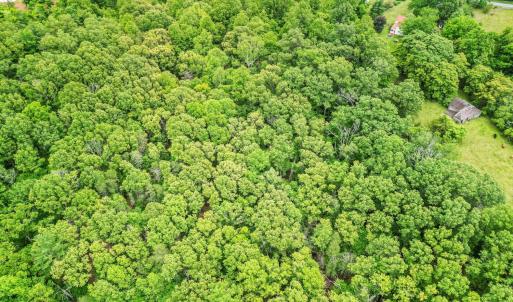 Photo #50 of 687 Gidsville Road, Amherst, VA 4.9 acres