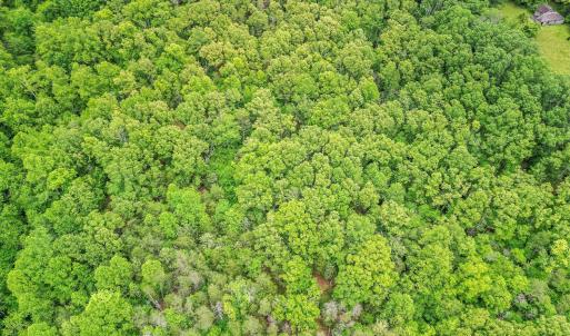 Photo #49 of 687 Gidsville Road, Amherst, VA 4.9 acres