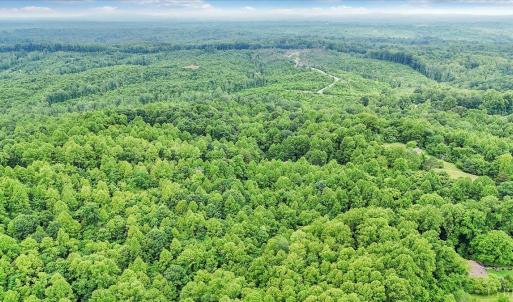 Photo #3 of 38 Frank Redd Rd, Fieldale, VA 16.5 acres