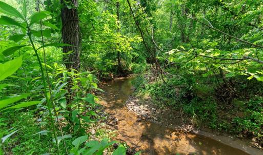 Photo #43 of 277 Crab Creek Rd, Monroe, VA 35.1 acres